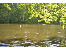 DSCF1234.jpg