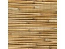thumb_aabc5e7cf869d3c6ac185084f958668e.jpg