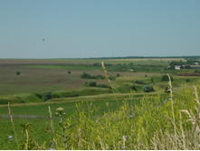 P1270177.JPG