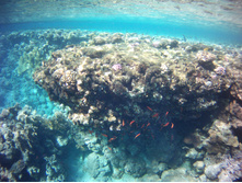 FILE0004.JPG