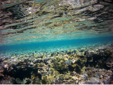 FILE0005.JPG