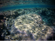 FILE0015.JPG