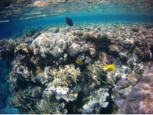 FILE0016.JPG