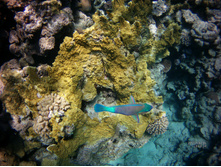 FILE0025.JPG