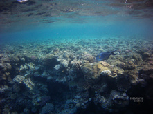FILE0048.JPG