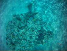 FILE0013.JPG