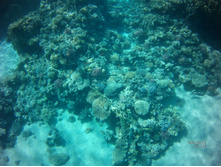FILE0014.JPG