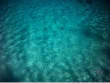 FILE0017.JPG