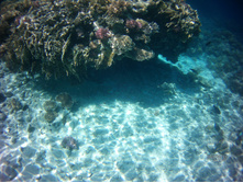 FILE0022.JPG