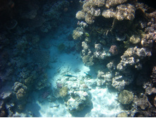 FILE0037.JPG