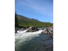 02.08.2007 16:53:37