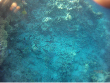 FILE0002.JPG