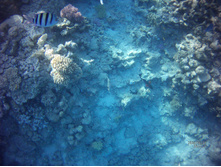 FILE0008.JPG