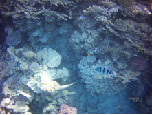 FILE0012.JPG