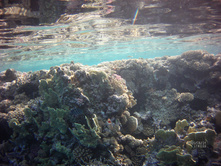 FILE0025.JPG