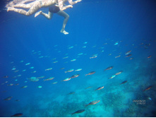 FILE0029.JPG