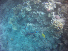 FILE0034.JPG