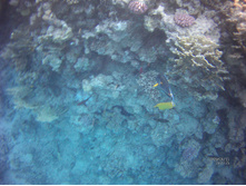 FILE0035.JPG