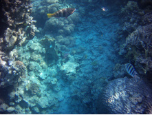 FILE0062.JPG
