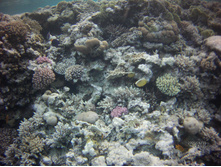FILE0107.JPG