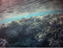 FILE0002.JPG
