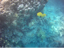 FILE0004.JPG