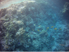 FILE0024.JPG