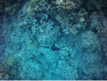 FILE0030.JPG