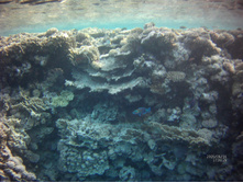FILE0031.JPG