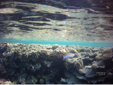 FILE0033.JPG