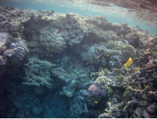 FILE0045.JPG