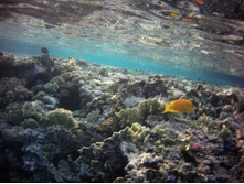 FILE0046.JPG
