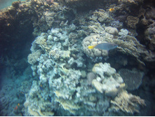 FILE0048.JPG