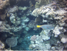 FILE0049.JPG