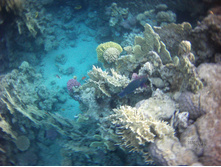 FILE0054.JPG