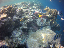 FILE0004.JPG