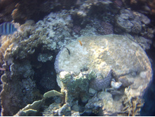 FILE0010.JPG