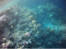 FILE0012.JPG