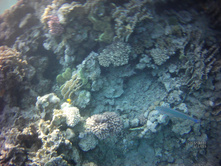 FILE0025.JPG