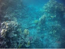 FILE0028.JPG