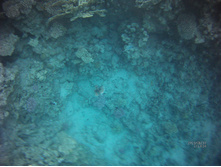 FILE0032.JPG