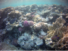 FILE0045.JPG
