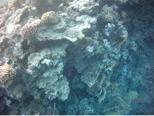 FILE0050.JPG