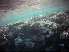 FILE0053.JPG