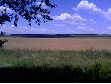 IMG10126.jpg