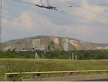 IMG10138.jpg