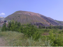 IMG10175.jpg