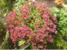 20130622_151950.jpg