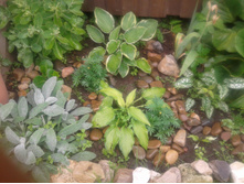 20130622_152025.jpg