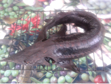 20130622_132215.jpg